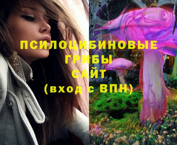 дживик Абаза