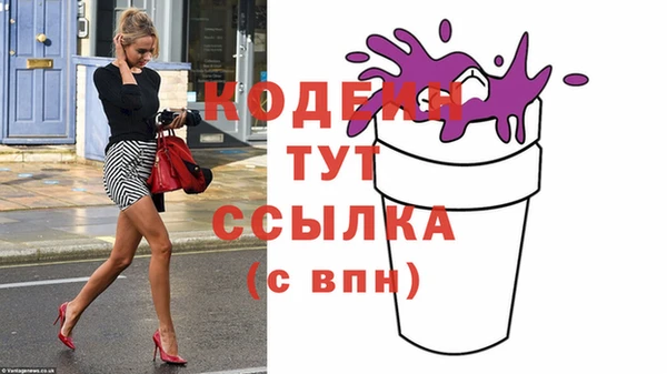 дживик Абаза