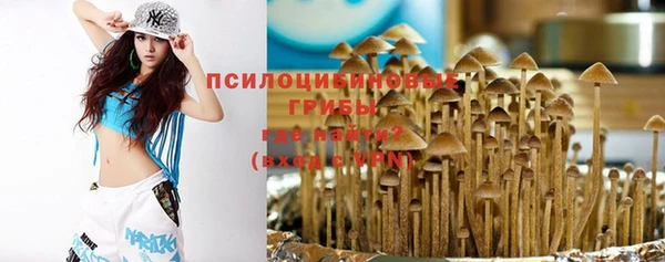 дживик Абаза